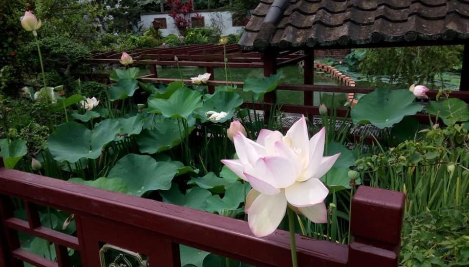 Chinese Garden Houses Pingtung Exterior photo